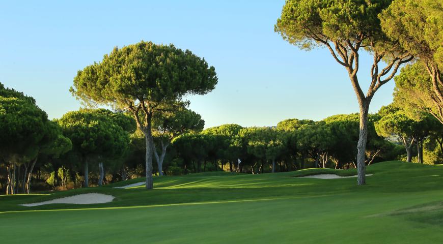 pine tree lined fairways